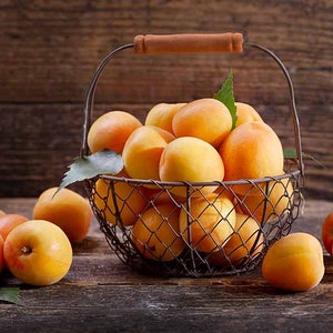 Apricot '’Moorpark” Grafted Tree & Self Pollinating -> We do not ship to CA