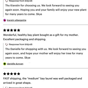 K&ouml;nnte beinhalten: F&uuml;nf Sterne Bewertung f&uuml;r einen Pflanzenladen. Die Bewertung lautet "Pretty amazing it comes all in tact! It's still alive! Ha hot in Fresno! Fast ship and quality plant!" Die Antwort des Ladens lautet "Thx Kierstin for choosing us. We look forward to seeing you again soon. Hoping you and your family will enjoy your new plant for many years to come. Skye"