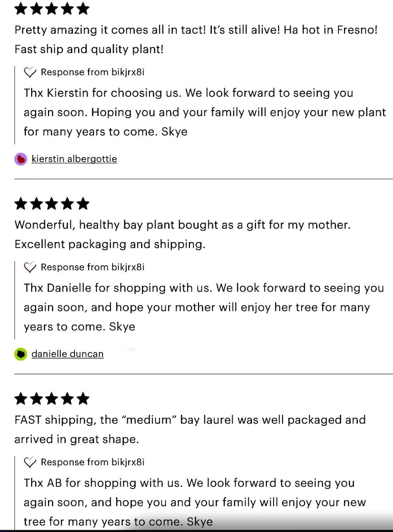 K&ouml;nnte beinhalten: F&uuml;nf Sterne Bewertung f&uuml;r einen Pflanzenladen. Die Bewertung lautet "Pretty amazing it comes all in tact! It's still alive! Ha hot in Fresno! Fast ship and quality plant!" Die Antwort des Ladens lautet "Thx Kierstin for choosing us. We look forward to seeing you again soon. Hoping you and your family will enjoy your new plant for many years to come. Skye"