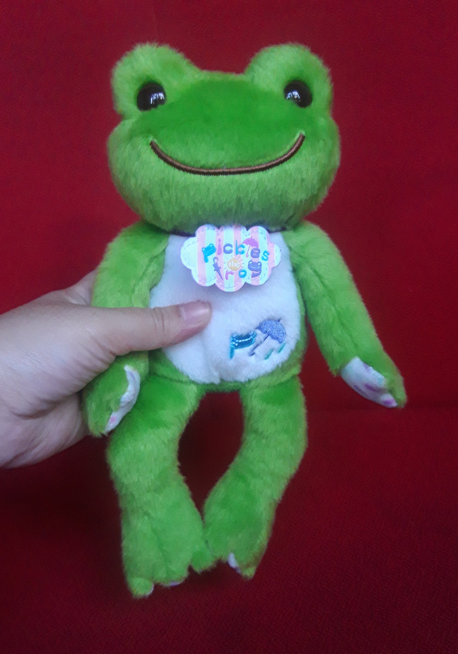 Pickles the frog 20th Anniversary 本 il_fullxfull.5701587119_soha.jpg