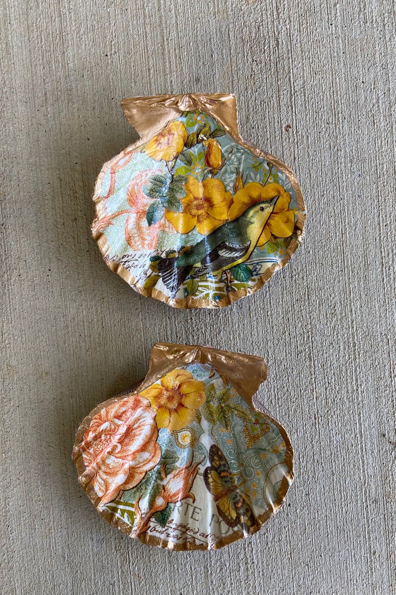 HUGE Decoupaged Lion’s Paw Scallop Shell, Trinket Tray, Ring Dish ...