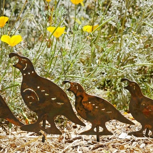 Rusted Quail Family of five for the Garden made from 14ga steel MADE in Pioneer, Ca USA