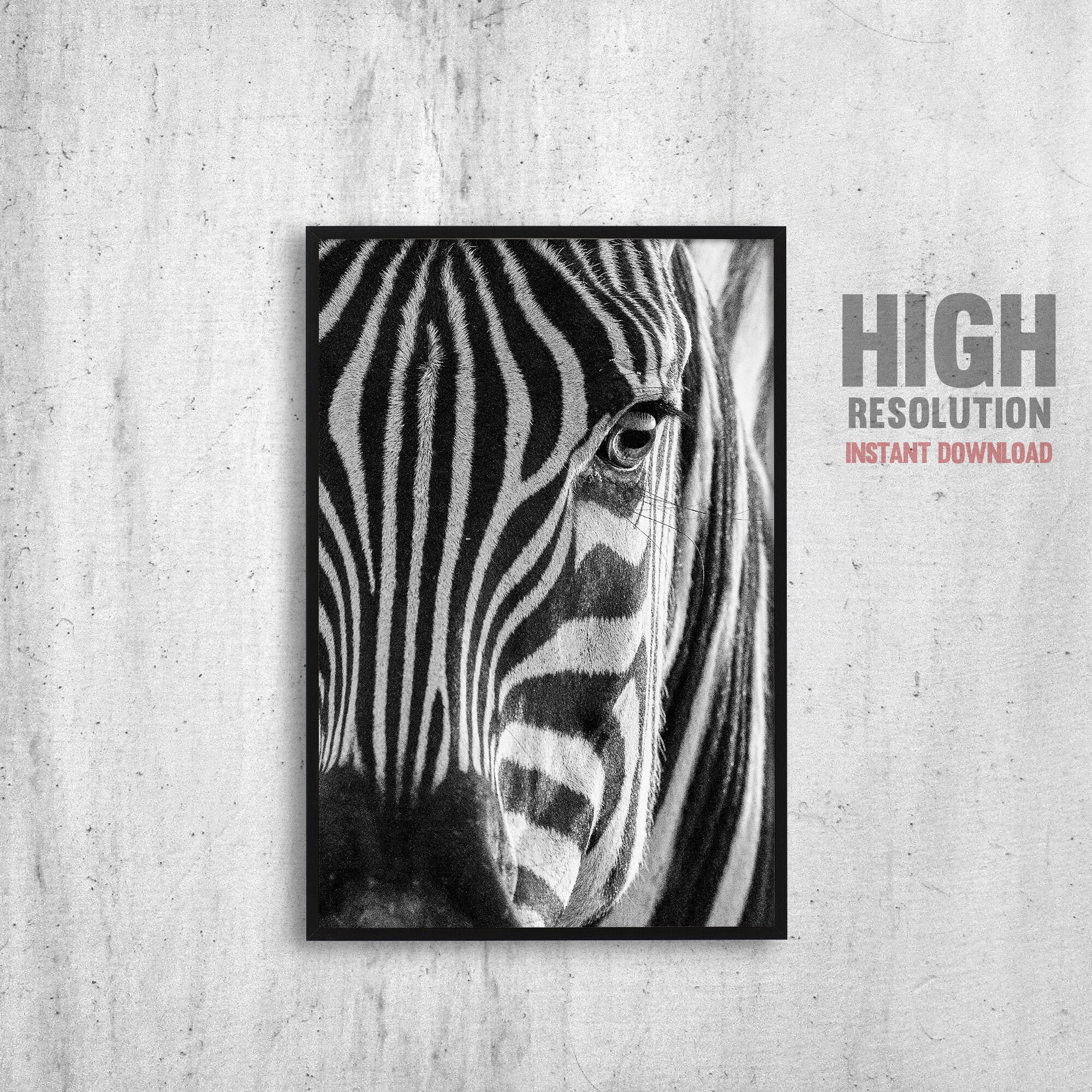 Zebra Head Digital Print Wall Art Instant Download Etsy