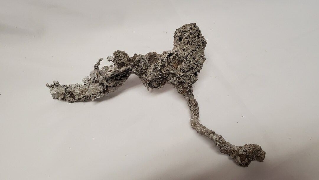 Aluminum Anthill Casting the Heart Etsy