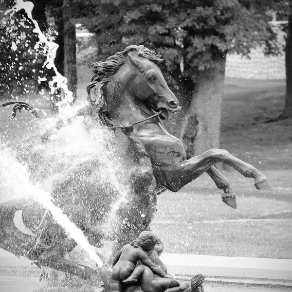 Horse Fountain Etsy