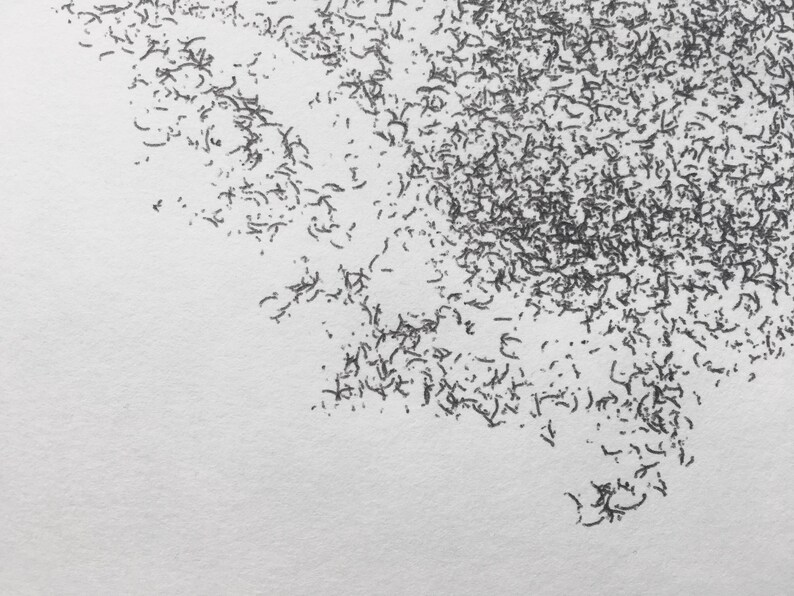 May include: A close-up of a white surface with a black, abstract design. The design is made up of many small, squiggly lines that are clustered together in a random pattern.