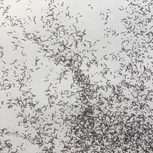 May include: A close-up of a white surface covered in a dense pattern of small, black, scribbled lines.