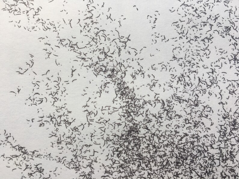 May include: A close-up of a white surface covered in a dense pattern of small, black, scribbled lines.