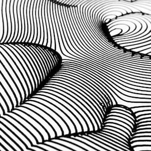 Op de afbeelding: Abstracte zwart-witte lijntekening met een 3D-effect. De lijnen zijn gebogen en cre&euml;ren een gevoel van diepte en beweging.