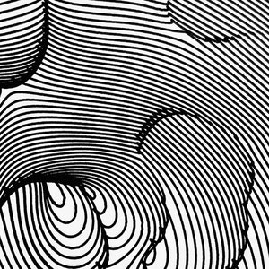 Op de afbeelding: Abstract zwart-wit lijnenkunstontwerp met een draaiende, organische vorm. De lijnen cre&euml;ren een gevoel van diepte en beweging.