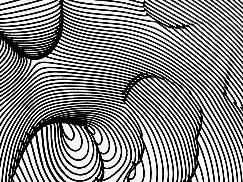 Op de afbeelding: Abstract zwart-wit lijnenkunstontwerp met een draaiende, organische vorm. De lijnen cre&euml;ren een gevoel van diepte en beweging.