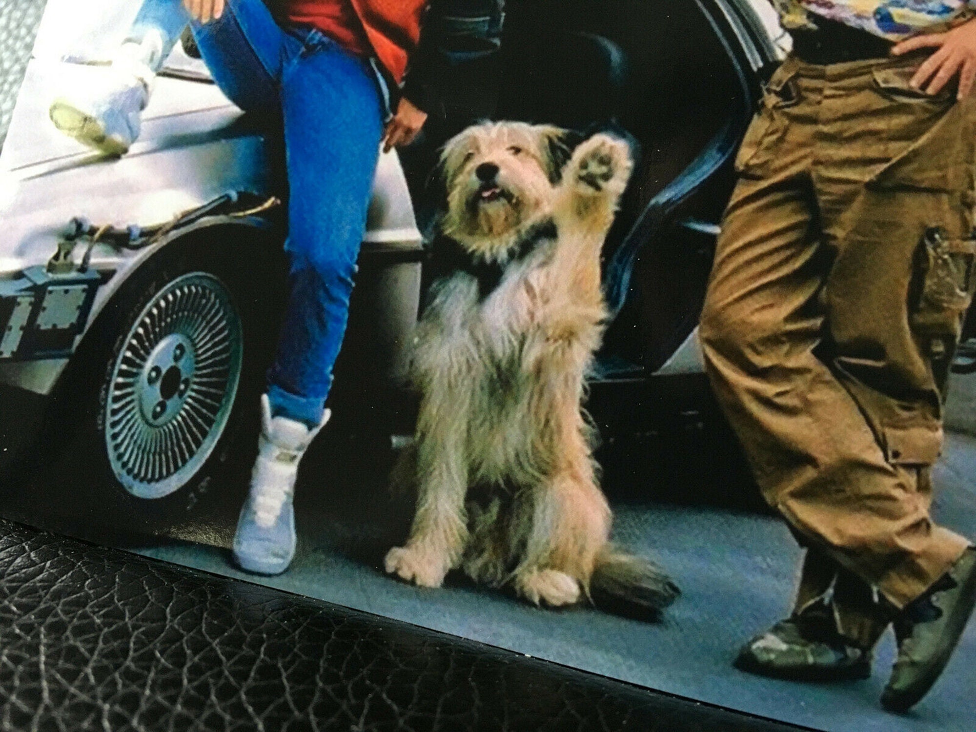 BTTF 写真 A6 バック トゥ ザ フューチャー 2 ホバーボード デロリアン