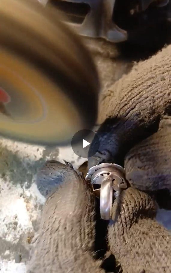 Unique Navajo Button Cover Ring size 8  by Davin … - image 8