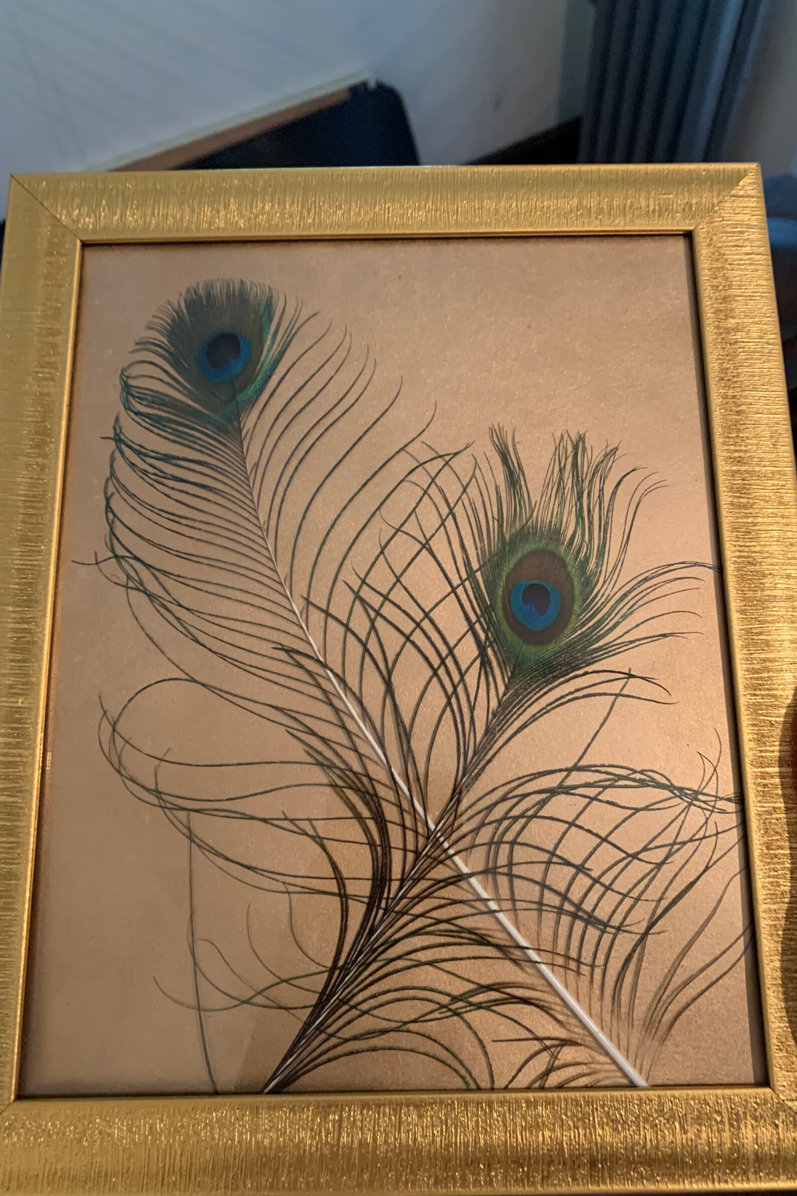 Real Peacock Feathers 2 feathers Framed in gold frame with Etsy