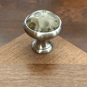 May include: A silver cabinet knob with a round, light brown, fossilized stone top.