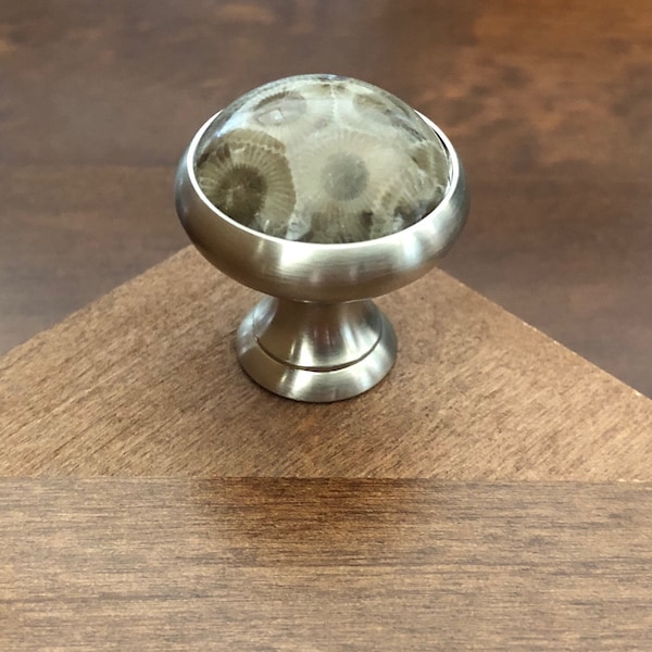 Brushed Nickel Petoskey Stone Knob | Handmade Cabinet Hardware