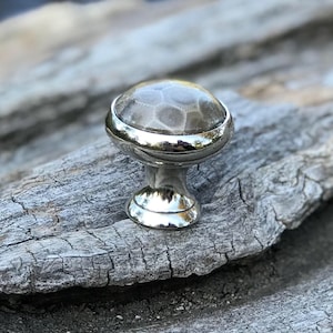May include: A cabinet knob with a polished silver finish. The knob features a round, clear top with a fossilized pattern and a silver base. The knob is designed for furniture and home decor.