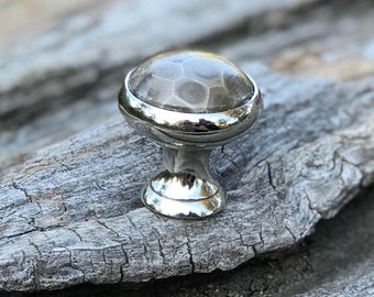 May include: A cabinet knob with a polished silver finish. The knob features a round, clear top with a fossilized pattern and a silver base. The knob is designed for furniture and home decor.