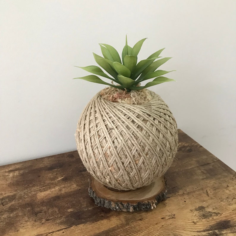 ON SALE Kokedama moss ball with artificial green succulent Etsy
