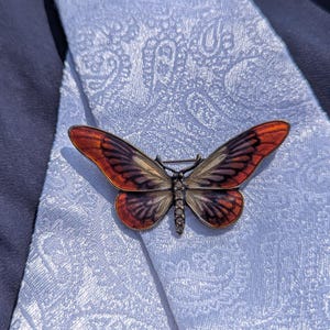 Orange Butterfly Stock Tie Pin