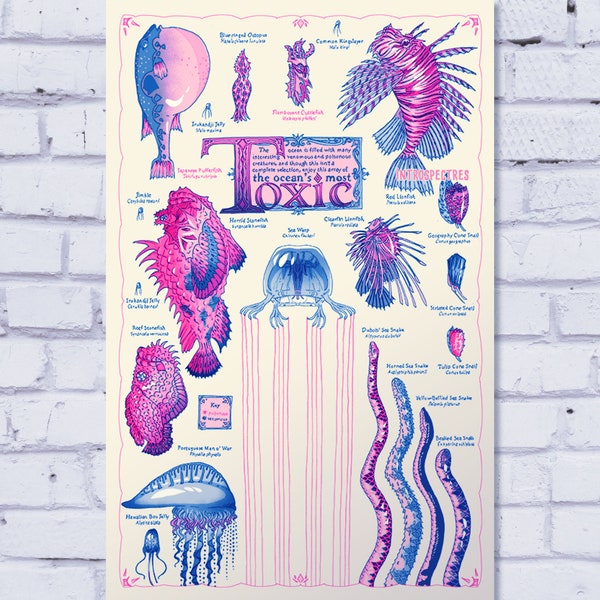 Toxic Oceanlife - 11 x 17 Risograph Art Print