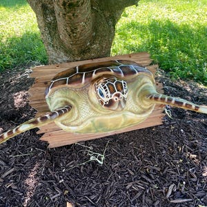 May include: A detailed, three-dimensional turtle sculpture with a brown and green shell, blue eyes, and outstretched flippers. The turtle is mounted on a weathered wooden plaque, set against a backdrop of mulch and greenery. The sculpture is a decorative item.