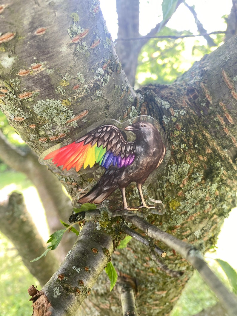 Puede incluir: Una pegatina transparente de un p&aacute;jaro con alas de arco&iacute;ris, posado en una rama de &aacute;rbol. El p&aacute;jaro tiene plumas marrones y grises y se encuentra sobre un fondo de corteza de &aacute;rbol y hojas verdes. La pegatina es transparente.