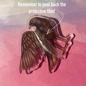 Puede incluir: Una pegatina acr&iacute;lica transparente con una ilustraci&oacute;n detallada de un p&aacute;jaro con plumas marrones y beige. Se est&aacute; despegando la pel&iacute;cula protectora, revelando la obra de arte. El texto en la parte superior dice: "&iexcl;Recuerda quitar la pel&iacute;cula protectora!"