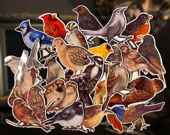 Pegatinas de aves de traspatio • 2,5”-3,5” • ¡24 especies/variaciones de aves!