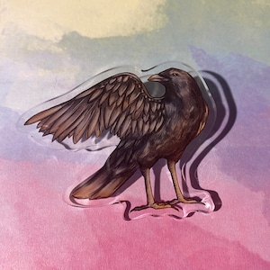 Puede incluir: Un pin de acr&iacute;lico transparente con forma de cuervo con las alas extendidas. El cuervo est&aacute; representado en tonos marrones y negros, con plumas detalladas. El pin tiene una forma irregular &uacute;nica y est&aacute; sobre un fondo suave de acuarela.
