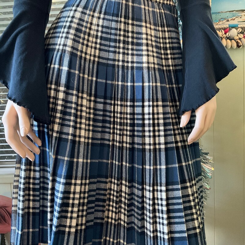 Blue Pleated Skirt