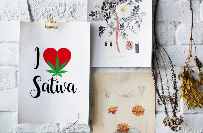 Weed Svg I Love Cannabis Silhouette I Love Weed SVG Files Weed Quotes Weed SVG Files Weed Svg Bundle T shirt Weed Png Marijuana SVG