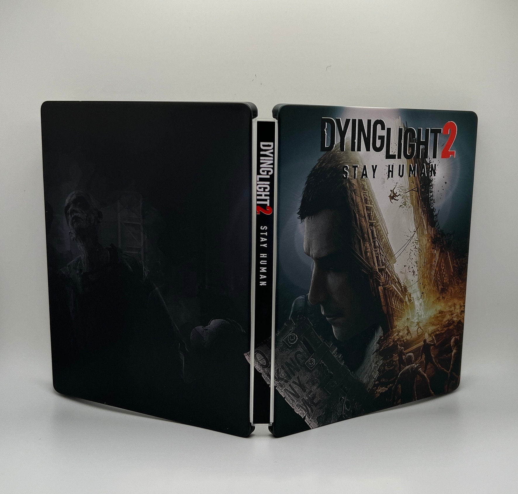 Dying Light (PS4) - The Cover Project