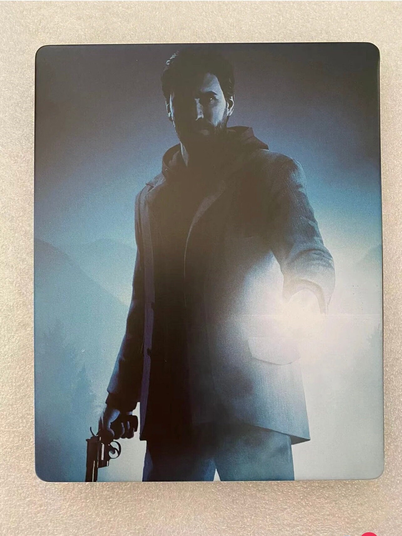 Stalker 2 Custom Made Steelbook Case for PS4 PS5 Xbox Case Only