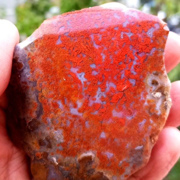 Mirror Polished Red Plume Agate