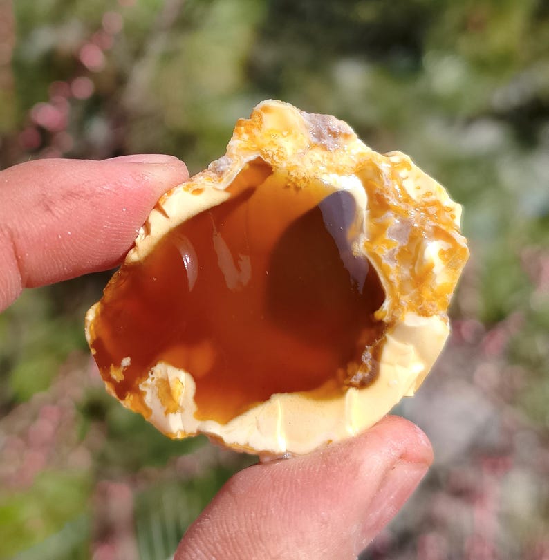 May include: A polished, natural opal gemstone with a rich, caramel-colored interior and a creamy, off-white exterior. The opal has a unique, organic shape, showcasing its natural formation. The gemstone is held in a hand, with a blurred background of green and pink.