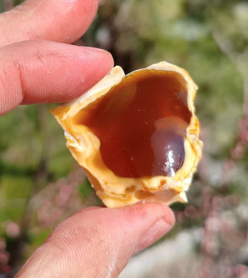 Wholesale Raw Honey Chalcedony Nodules 1 kg Rough for Cabbing Lapidary image 5