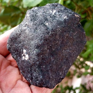 May include: A dark gray, irregularly shaped rock with a rough, textured surface. The rock has small, light-colored flecks throughout, and is held in a hand. The background is blurred green foliage.