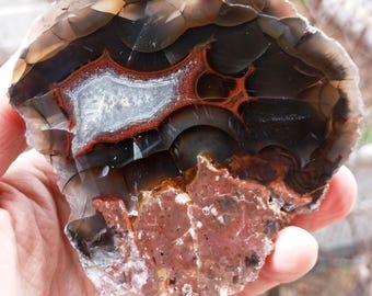 Mirror Polished Extremely Rare Turkish Red Fox Thunderegg Agate Uv