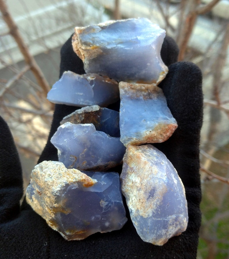 May include: A collection of rough, blue chalcedony stones with tan and brown edges. The stones are held in a black glove, with a blurred outdoor background.