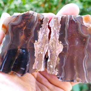 Puede incluir: Dos rodajas pulidas de piedra ágata marrón con intrincadas bandas translúcidas en tonos chocolate oscuro, ámbar y crema. Las piedras muestran una superficie lisa y brillante con bordes naturales dentados e inclusiones minerales.