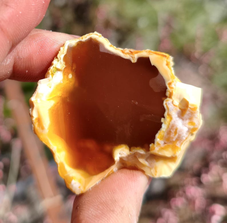 May include: A raw, natural gemstone with a polished, translucent interior. The stone features a rich, brown center surrounded by a creamy yellow and white outer layer. The rough edges and unique shape highlight its organic origin.