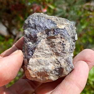 May include: A rough, gray rock with black, sparkly mineral inclusions. The rock is about the size of a fist.