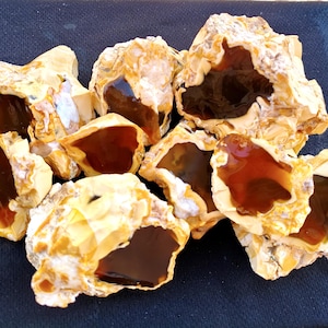 Wholesale Raw Honey Chalcedony Nodules 1 kg Rough for Cabbing Lapidary image 1