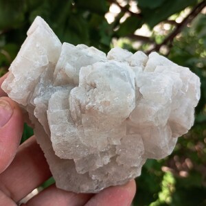 May include: A cluster of light-colored, crystalline mineral formations. The mineral has a rough, textured surface and a pale, off-white color. The background is blurred, with green foliage.