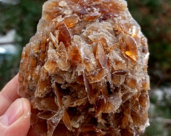 Golden Desert Rose Selenite Crystal Cluster Uv Reactive Fluorescent