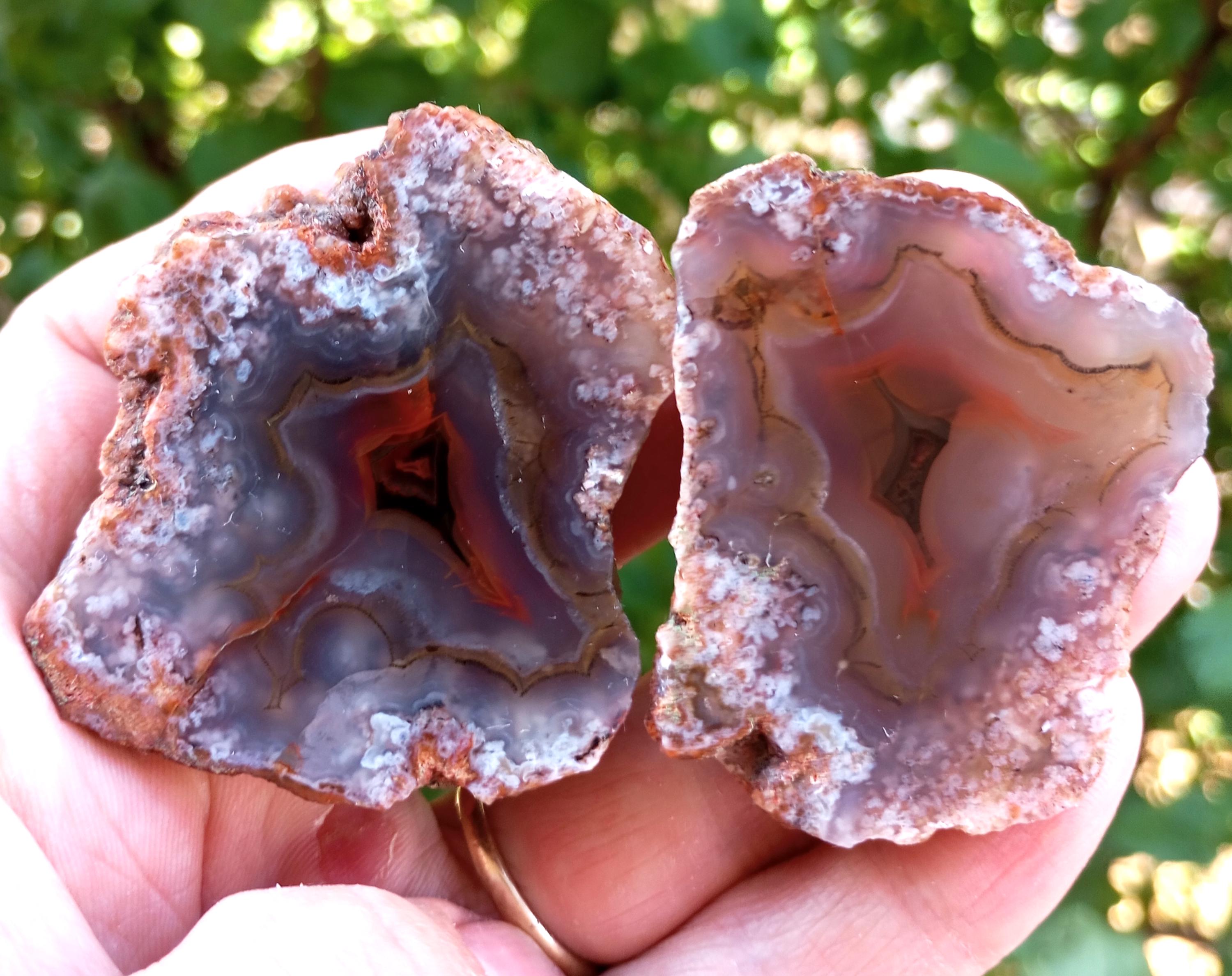 【コレクターズアイテム】レッドフォックスアゲート コレクターズアイテム】レッドフォックスアゲート Red fox agate