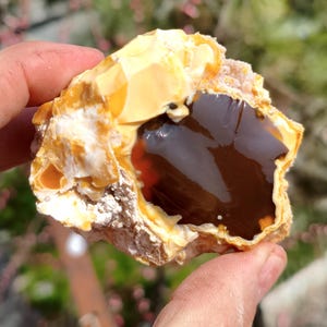 May include: A hand holds a raw, uncut opal gemstone. The opal features a mix of colors, including creamy white, golden yellow, and a deep, dark brown. The stone has a rough, textured exterior and a smooth, polished interior.