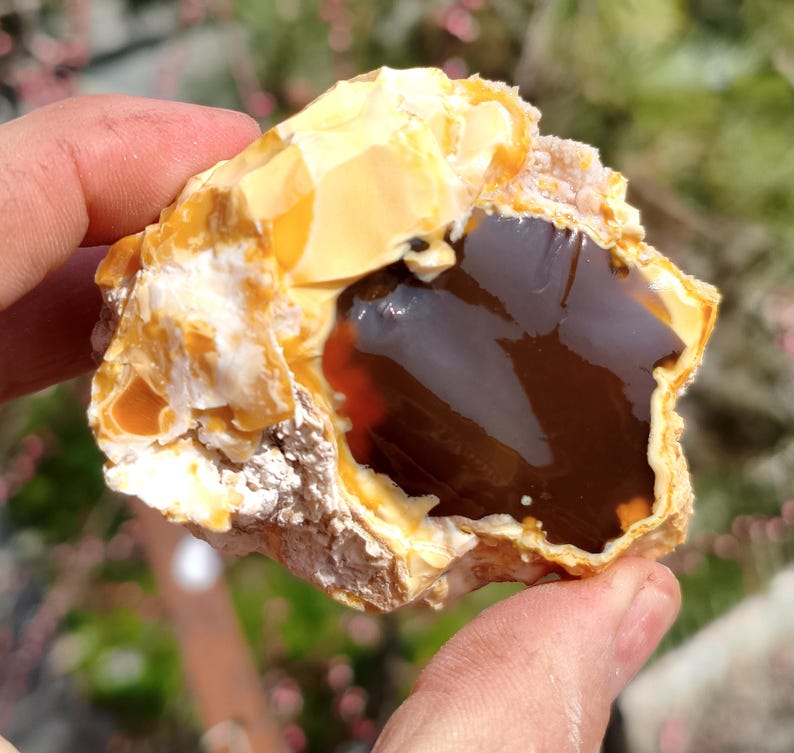 May include: A hand holds a raw, uncut opal gemstone. The opal features a mix of colors, including creamy white, golden yellow, and a deep, dark brown. The stone has a rough, textured exterior and a smooth, polished interior.