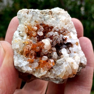 Cluster di cristalli di calcite rivestiti di ferro, campione minerale fluorescente reattivo ai raggi UV